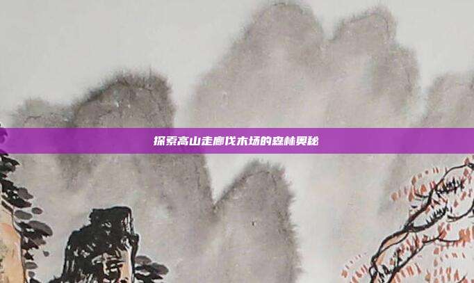 探索高山走廊伐木场的森林奥秘