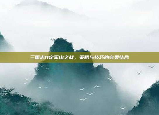 三国志11定军山之战,策略与技巧的完美结合