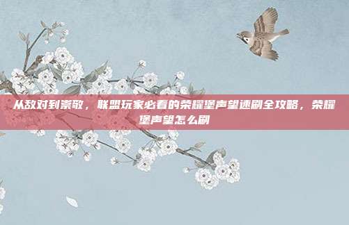 从敌对到崇敬，联盟玩家必看的荣耀堡声望速刷全攻略，荣耀堡声望怎么刷