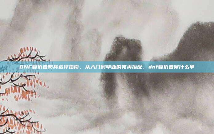 DNF复仇者防具选择指南,从入门到毕业的完美搭配,dnf复仇者穿什么甲