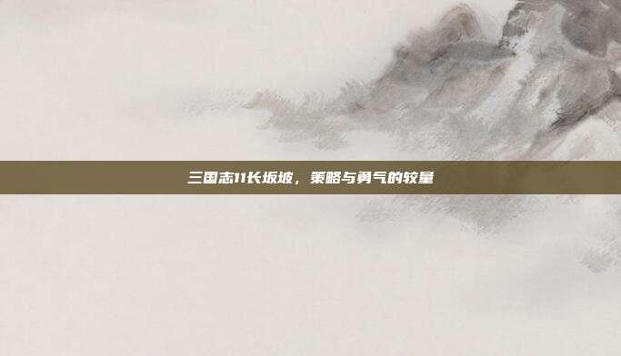 三国志11长坂坡,策略与勇气的较量