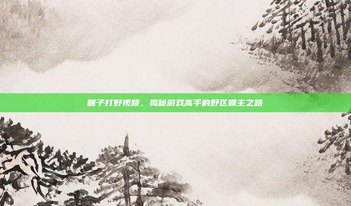 瞎子打野视频，揭秘游戏高手的野区霸主之路