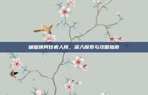 蝙蝠侠阿甘疯人院，深入探索与攻略指南