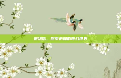 宠物岛，探索未知的奇幻世界