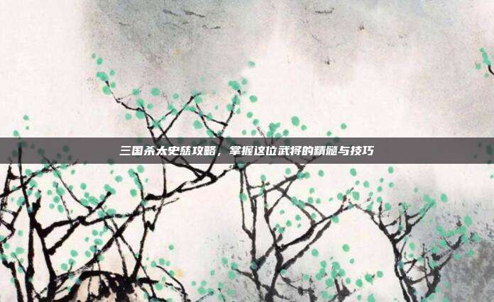 三国杀太史慈攻略，掌握这位武将的精髓与技巧