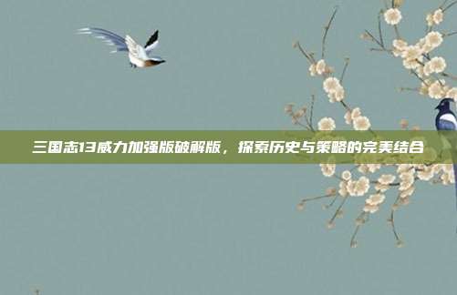 三国志13威力加强版破解版,探索历史与策略的完美结合