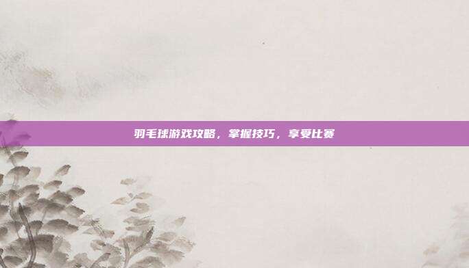 羽毛球游戏攻略,掌握技巧,享受比赛