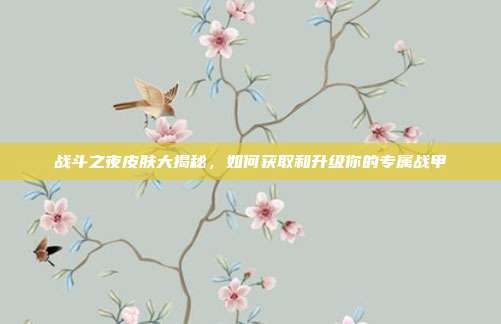 战斗之夜皮肤大揭秘，如何获取和升级你的专属战甲