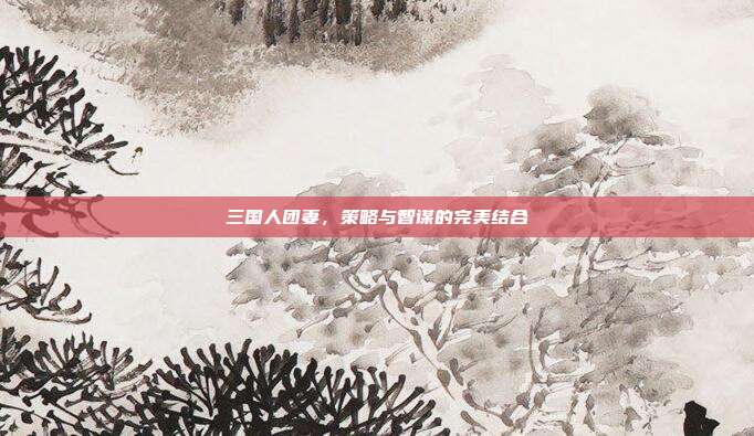 三国人团妻，策略与智谋的完美结合