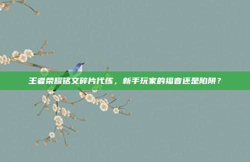 王者荣耀铭文碎片代练，新手玩家的福音还是陷阱？