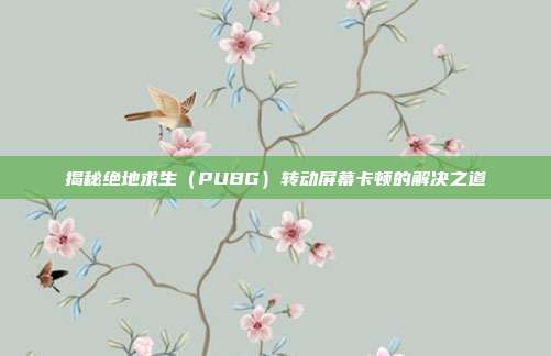 揭秘绝地求生(PUBG)转动屏幕卡顿的解决之道