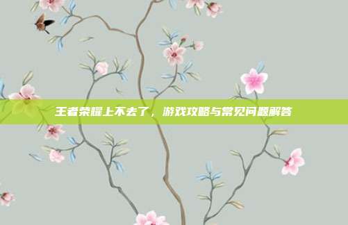 王者荣耀上不去了,游戏攻略与常见问题解答