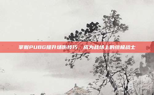 掌握PUBG提升场伤技巧，成为战场上的终极战士