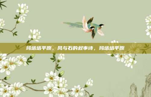 玛塔塔平原,风与石的叙事诗,玛塔塔平原