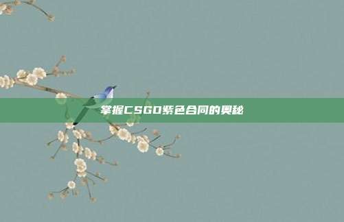 掌握CSGO紫色合同的奥秘