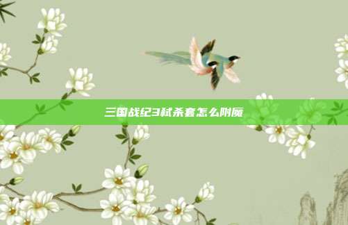 三国战纪3弑杀套怎么附魔