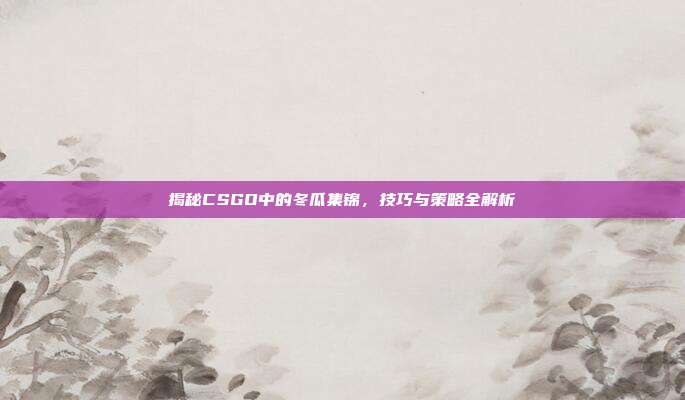 揭秘CSGO中的冬瓜集锦,技巧与策略全解析