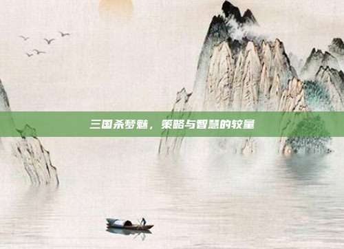 三国杀梦魅,策略与智慧的较量