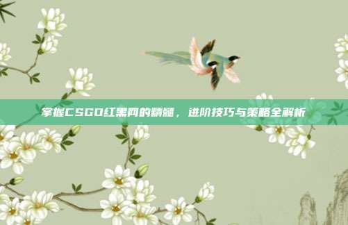 掌握CSGO红黑网的精髓，进阶技巧与策略全解析