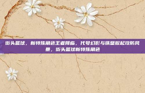 街头篮球，新特殊角色王者降临，代号幻影与铁壁掀起攻防风暴，街头篮球新特殊角色