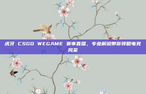 虎牙 CSGO WEGAME 赛事直播，专业解说带你领略电竞风采