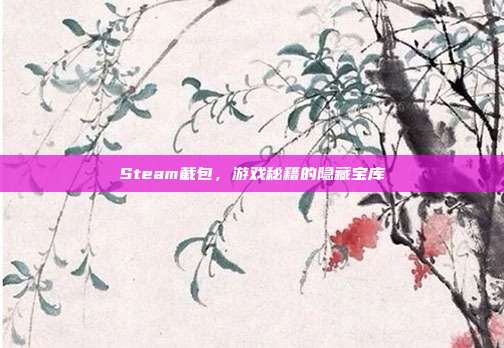 Steam截包,游戏秘籍的隐藏宝库