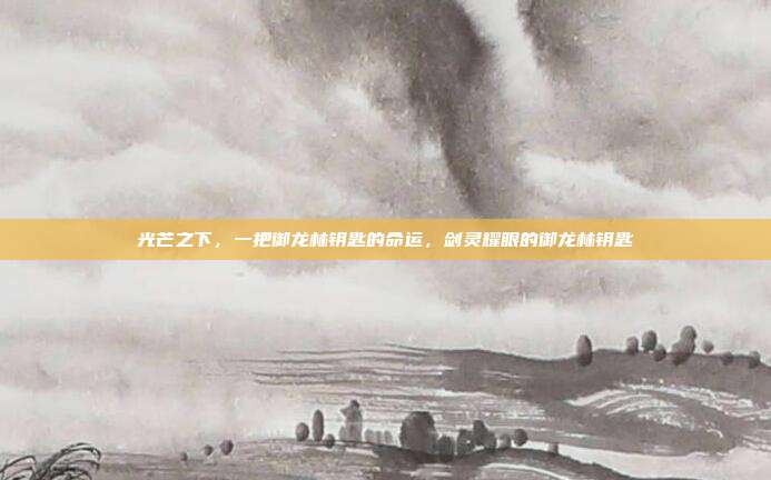 光芒之下，一把御龙林钥匙的命运，剑灵耀眼的御龙林钥匙