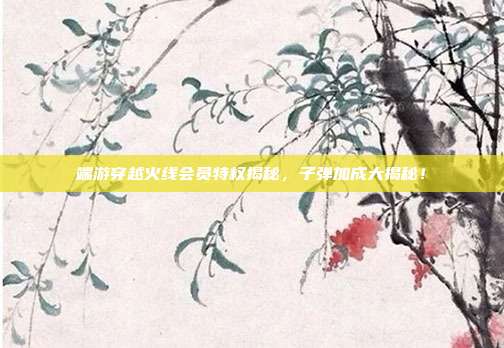 端游穿越火线会员特权揭秘,子弹加成大揭秘!