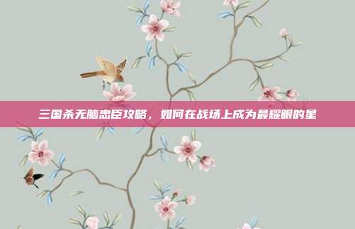 三国杀无脑忠臣攻略，如何在战场上成为最耀眼的星
