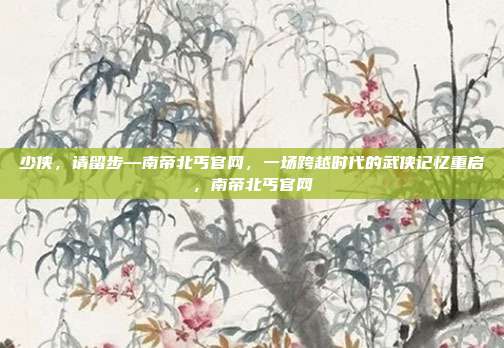 少侠，请留步—南帝北丐官网，一场跨越时代的武侠记忆重启，南帝北丐官网