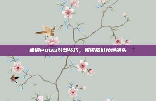 掌握PUBG游戏技巧,如何精准拉进镜头