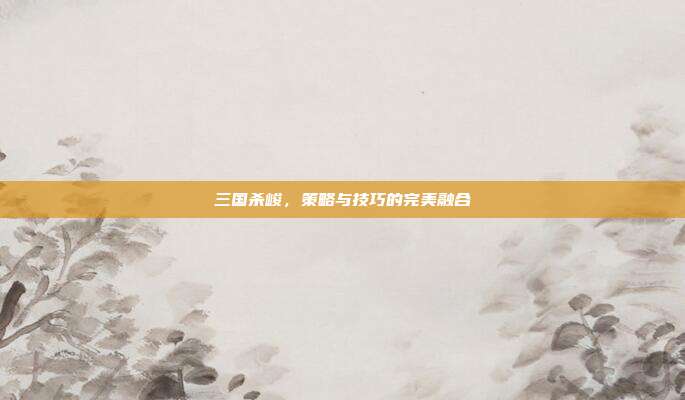 三国杀峻，策略与技巧的完美融合