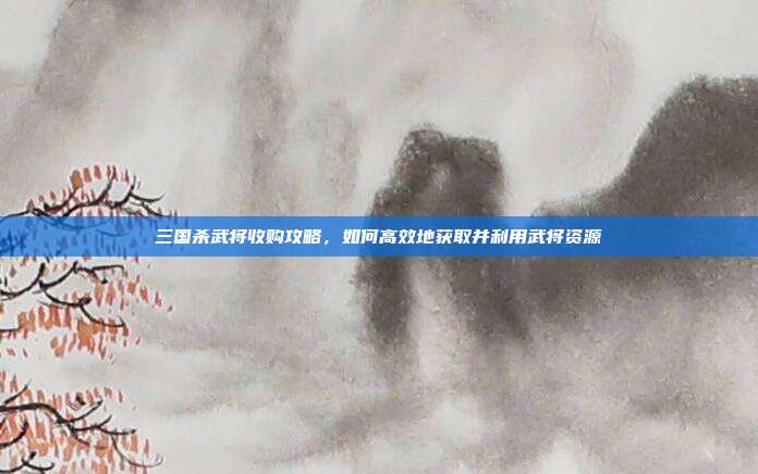三国杀武将收购攻略,如何高效地获取并利用武将资源