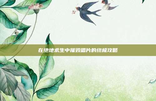 在绝地求生中摧毁唱片的终极攻略