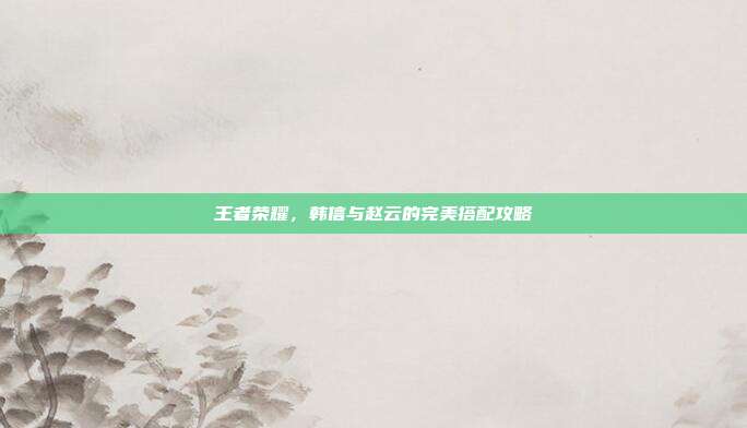王者荣耀,韩信与赵云的完美搭配攻略