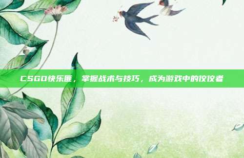 CSGO快乐匪，掌握战术与技巧，成为游戏中的佼佼者
