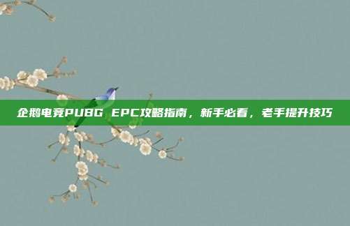 企鹅电竞PUBG EPC攻略指南，新手必看，老手提升技巧