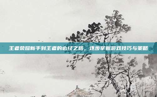 王者荣耀新手到王者的必经之路,逐步掌握游戏技巧与策略
