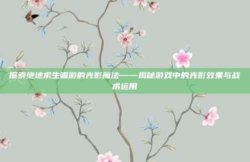 探索绝地求生端游的光影魔法——揭秘游戏中的光影效果与战术运用