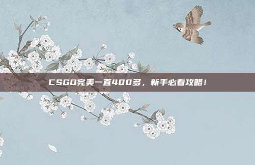 CSGO完美一直400多，新手必看攻略！