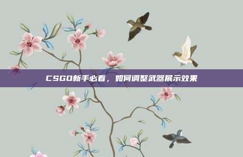 CSGO新手必看，如何调整武器展示效果