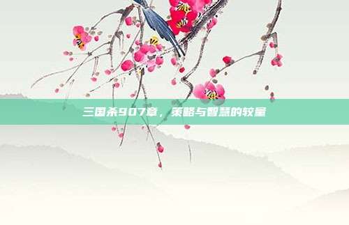 三国杀907章,策略与智慧的较量