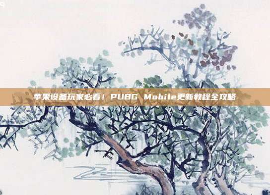 苹果设备玩家必看!PUBG Mobile更新教程全攻略