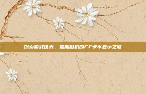 探索游戏世界,佳能相机的CF卡不显示之谜