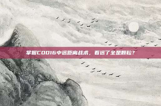 掌握COD16中远距离战术,看远了全是颗粒?