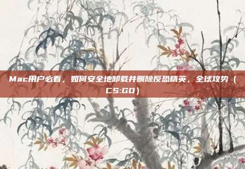 Mac用户必看，如何安全地卸载并删除反恐精英，全球攻势（CS:GO）