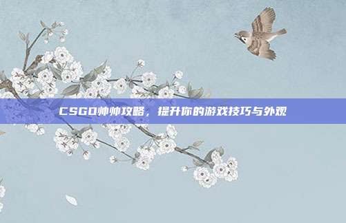 CSGO帅帅攻略，提升你的游戏技巧与外观