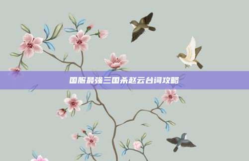 国服最强三国杀赵云台词攻略