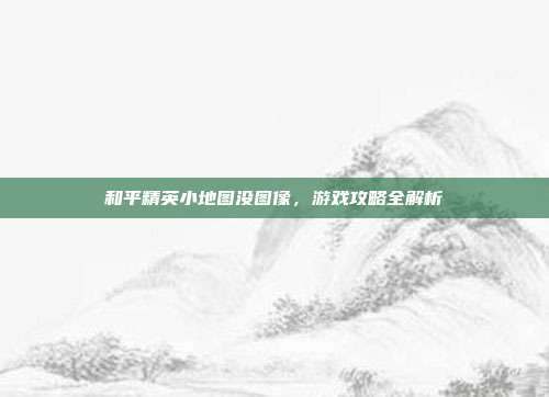 和平精英小地图没图像，游戏攻略全解析