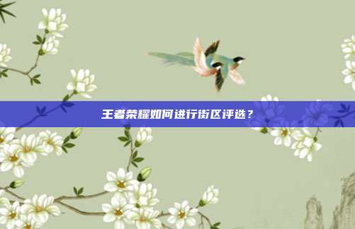 王者荣耀如何进行街区评选？